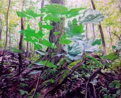 images-6